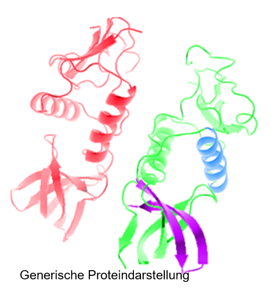 Strukturbild von Filgrastim