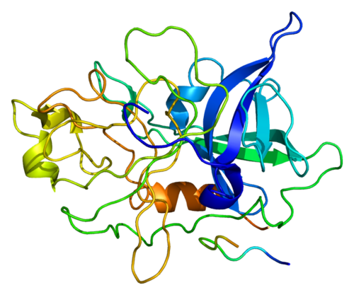 Strukturbild von Urokinase